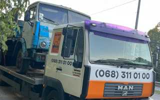 photo 6 2024 09 09 15 21 04