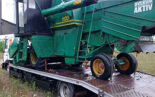 photo 8 2024 09 09 15 22 43