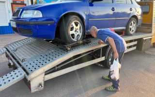 photo 8 2024 09 09 15 25 29